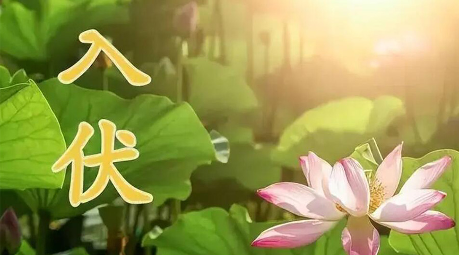 入伏天來(lái)襲！金環(huán)電器提醒大家要注意的事項(xiàng)