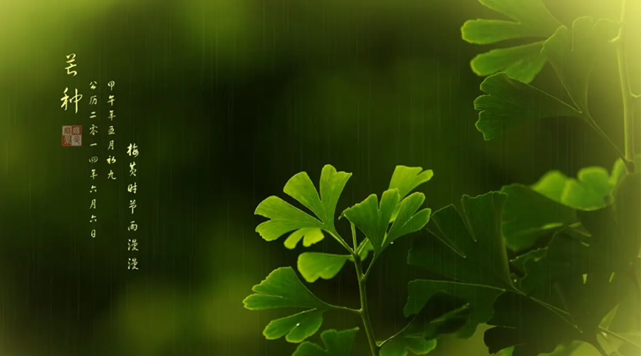 芒種時(shí)節(jié)！金環(huán)電器提醒大家的注意事項(xiàng)