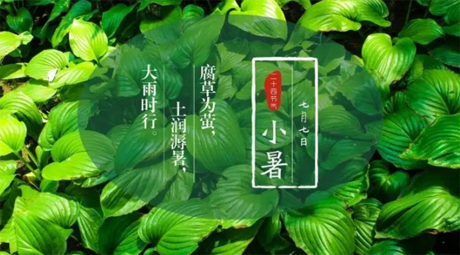小暑時節(jié)來到！金環(huán)電器提醒大家要注意的事項(xiàng)