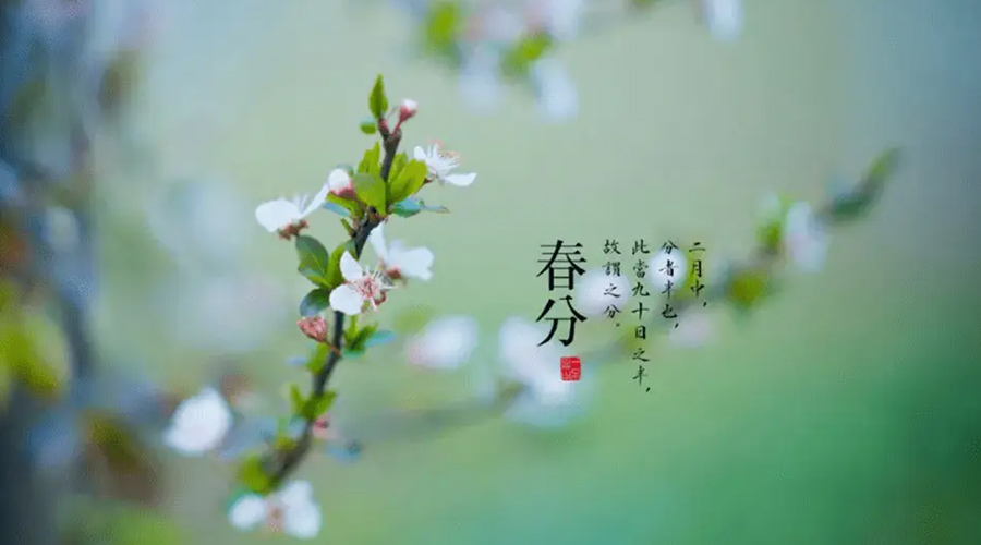 春分雨水多易生菌！金環(huán)電器提醒你衣物要注意處理