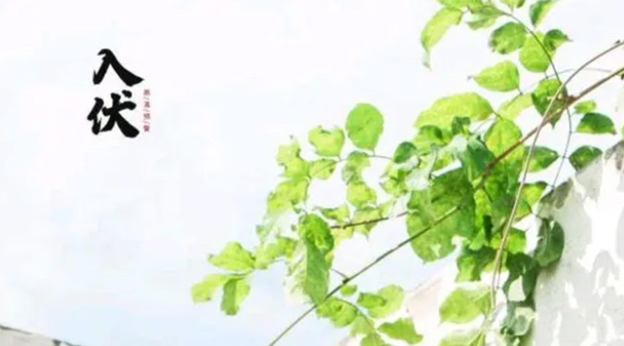 初伏時節(jié)！金環(huán)電器提醒大家要注意的事項(xiàng)